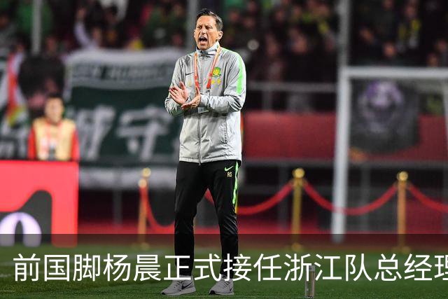 前国脚杨晨正式接任浙江队总经理职务